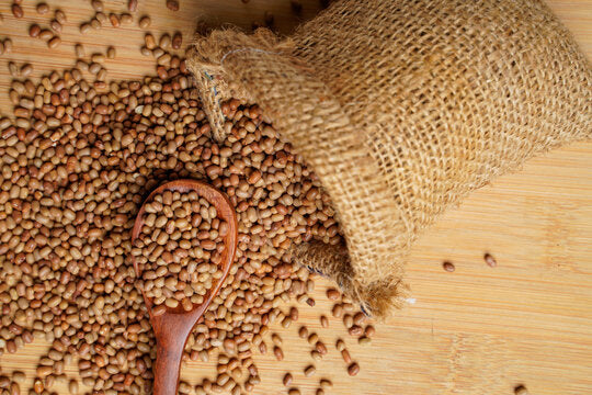 Raja Bean moth -1kg